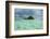 Little Island in the Rock Islands, Palau, Central Pacific-Michael Runkel-Framed Photographic Print