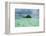 Little Island in the Rock Islands, Palau, Central Pacific-Michael Runkel-Framed Photographic Print