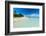 Little Island with a White Sand Beach in Haapai, Haapai Islands, Tonga, South Pacific, Pacific-Michael Runkel-Framed Photographic Print