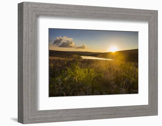 Little Lake at Sunset, Nyika National Park, Malawi, Africa-Michael Runkel-Framed Photographic Print