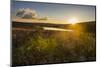 Little Lake at Sunset, Nyika National Park, Malawi, Africa-Michael Runkel-Mounted Photographic Print