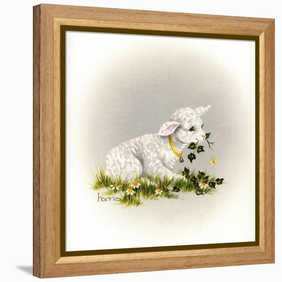 Little Lambsy Divey-Peggy Harris-Framed Premier Image Canvas