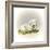 Little Lambsy Divey-Peggy Harris-Framed Giclee Print