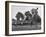 Little League Baseball Practice-Joe Scherschel-Framed Photographic Print