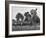 Little League Baseball Practice-Joe Scherschel-Framed Photographic Print