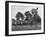 Little League Baseball Practice-Joe Scherschel-Framed Photographic Print