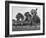 Little League Baseball Practice-Joe Scherschel-Framed Photographic Print