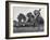 Little League Baseball Practice-Joe Scherschel-Framed Photographic Print