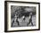 Little League Baseball Practice-Joe Scherschel-Framed Photographic Print