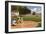 Little League World Series, Williamsport, Pennsylvania-null-Framed Art Print