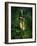 Little Light In The Deep Forest-Atelier Sommerland-Framed Art Print