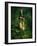 Little Light In The Deep Forest-Atelier Sommerland-Framed Art Print