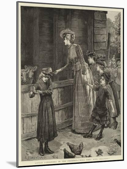 Little Londoners in the Country, Will They Bite, Teacher?-Edward Frederick Brewtnall-Mounted Giclee Print