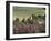 Little Malvern Village, Viewed from Main Ridge of the Malvern Hills, Worcestershire, England-David Hughes-Framed Photographic Print