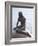 Little Mermaid, Copenhagen, Denmark, Scandinavia, Europe-Frank Fell-Framed Photographic Print