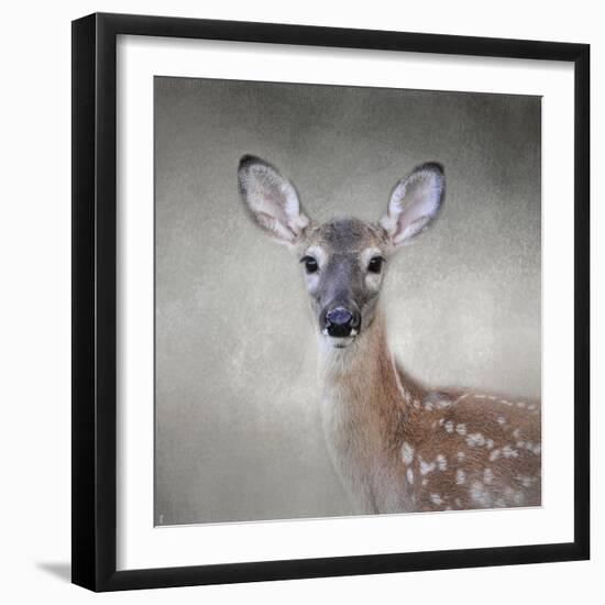 Little Miss Lashes White Tailed Fawn-Jai Johnson-Framed Giclee Print