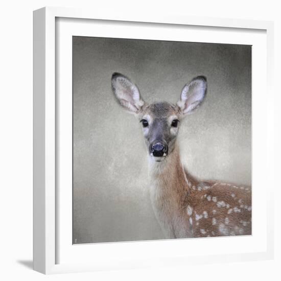 Little Miss Lashes White Tailed Fawn-Jai Johnson-Framed Giclee Print