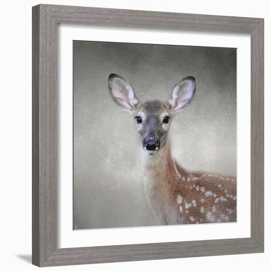 Little Miss Lashes White Tailed Fawn-Jai Johnson-Framed Giclee Print