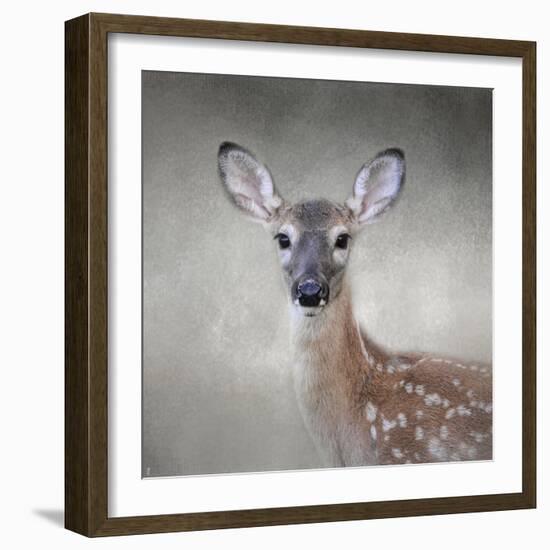 Little Miss Lashes White Tailed Fawn-Jai Johnson-Framed Giclee Print