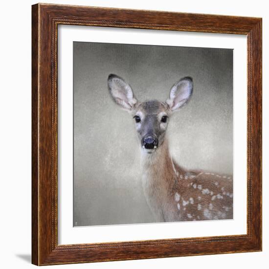 Little Miss Lashes White Tailed Fawn-Jai Johnson-Framed Giclee Print