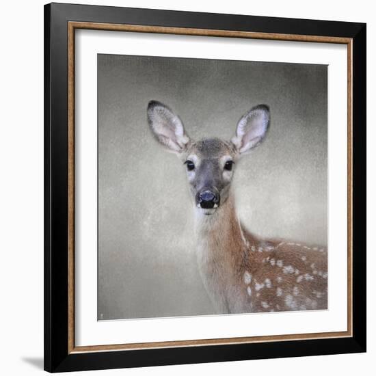 Little Miss Lashes White Tailed Fawn-Jai Johnson-Framed Giclee Print