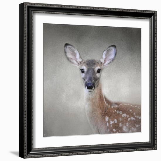 Little Miss Lashes White Tailed Fawn-Jai Johnson-Framed Giclee Print