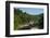 Little Missouri River, Ozark National Forest, Arkansas, United States of America, North America-Michael Runkel-Framed Photographic Print