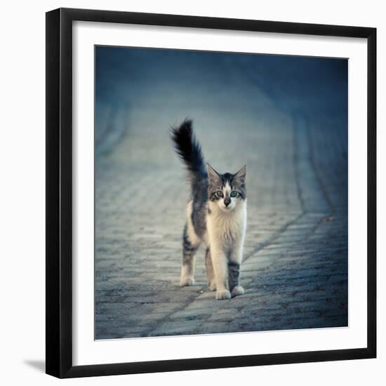 Little One-Dejan Ilijic-Framed Giclee Print