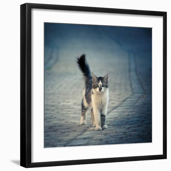 Little One-Dejan Ilijic-Framed Giclee Print