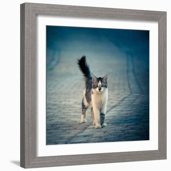 Little One-Dejan Ilijic-Framed Photographic Print