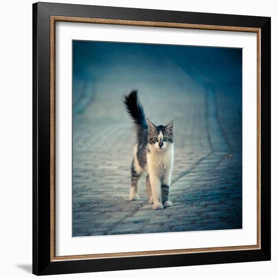 Little One-Dejan Ilijic-Framed Photographic Print