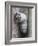 Little Owl (Athene Noctua) in Drainpipe, Captive, United Kingdom, Europe-Ann & Steve Toon-Framed Photographic Print
