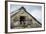 Little Owl (Athene Noctua) Roosting in Stone Field Barn, Peak District National Park, Derbyshire Uk-Alex Hyde-Framed Photographic Print