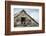 Little Owl (Athene Noctua) Roosting in Stone Field Barn, Peak District National Park, Derbyshire Uk-Alex Hyde-Framed Photographic Print