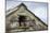 Little Owl (Athene Noctua) Roosting in Stone Field Barn, Peak District National Park, Derbyshire Uk-Alex Hyde-Mounted Photographic Print