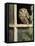 Little Owl in Window of Derelict Building, UK, January-Andy Sands-Framed Premier Image Canvas