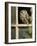 Little Owl in Window of Derelict Building, UK, January-Andy Sands-Framed Photographic Print