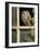 Little Owl in Window of Derelict Building, UK, January-Andy Sands-Framed Photographic Print