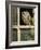 Little Owl in Window of Derelict Building, UK, January-Andy Sands-Framed Photographic Print