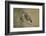 Little owls courtship, Spain-Dietmar Nill-Framed Photographic Print