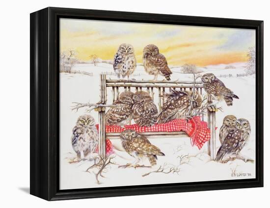 Little Owls on Twig Bench, 1999-E.B. Watts-Framed Premier Image Canvas