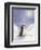 Little Penguin-Makiko-Framed Art Print