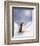 Little Penguin-Makiko-Framed Art Print