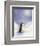 Little Penguin-Makiko-Framed Art Print