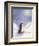 Little Penguin-Makiko-Framed Art Print