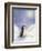 Little Penguin-Makiko-Framed Art Print