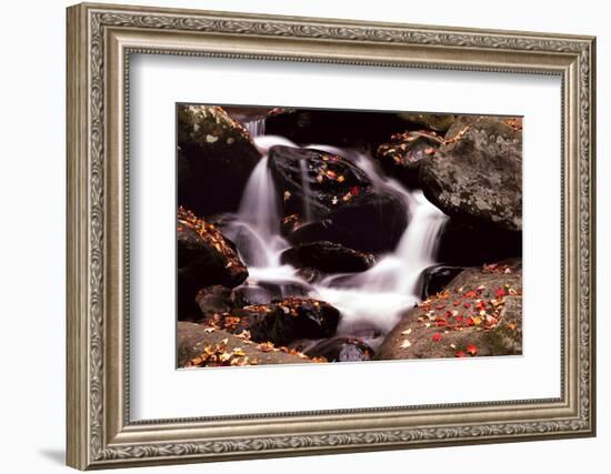 Little Pigeon River, Great Smoky Mountains NP, Tennessee, USA-Jerry Ginsberg-Framed Photographic Print