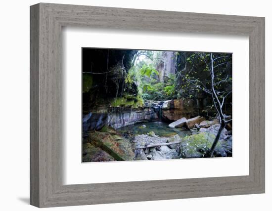 Little Pond in a Rock Crack, Carnarvon Gorge, Queensland, Australia, Pacific-Michael Runkel-Framed Photographic Print