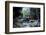 Little Pond in a Rock Crack, Carnarvon Gorge, Queensland, Australia, Pacific-Michael Runkel-Framed Photographic Print