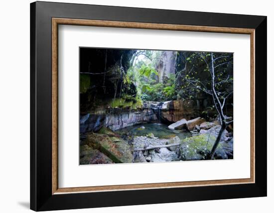 Little Pond in a Rock Crack, Carnarvon Gorge, Queensland, Australia, Pacific-Michael Runkel-Framed Photographic Print
